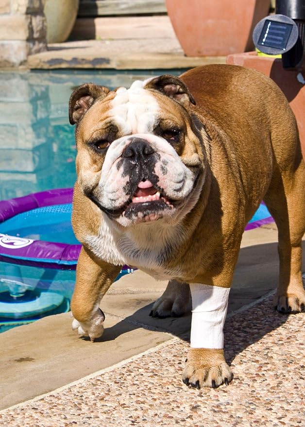 Protective Sleeve Tubular Cover - Bandages - for Dogs Cats and Other Pets First Aid Wound Care Comfortable Non-Adhesive Breathable & Water Resistant 12 Strips (yields 24-36 Covers)-(XX-Small)