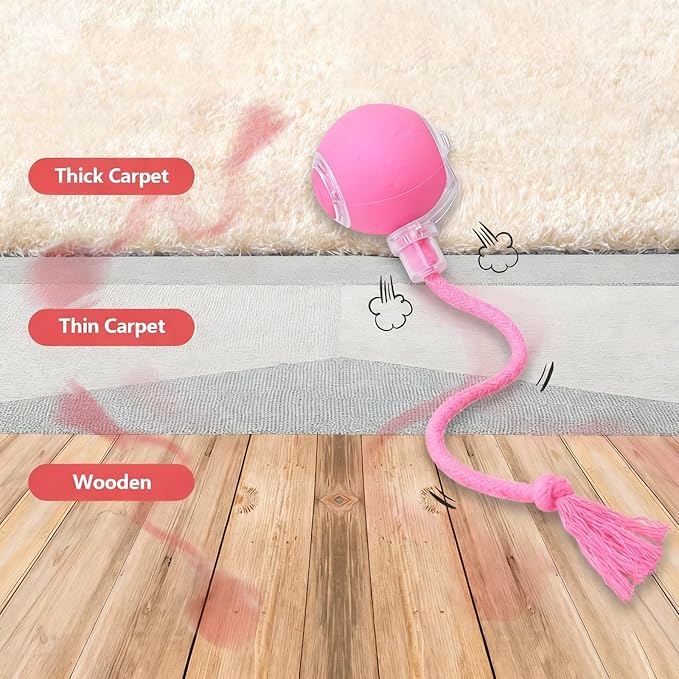FUNNYDUCK Speed 2.0 Tail Interactive Cat Toy – Motion-Activated Rolling Ball with Chirping Sounds, USB Rechargeable Smart Ball Toy for Indoor Cats & Kittens, Enrichment & Exercise
