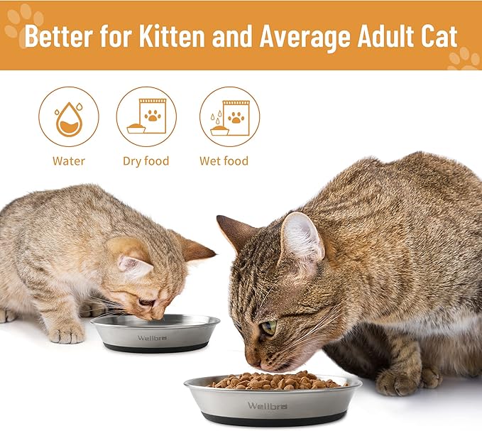 Cat Bowls, 4 Pcs Stainless Steel Pets Bowls for Food and Water, Whisker Fatigue Shallow Non-Slip Cat Dishes Plates for Small Dog Puppies Cats