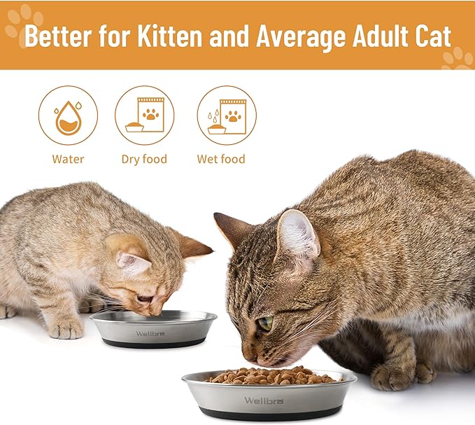 Cat Bowls, 6 Pcs Stainless Steel Bowls for Food and Water, Whisker Fatigue Shallow Non-Slip Cat Dishes Plates for Small Dog Puppies Cats