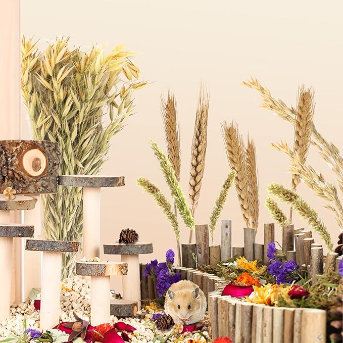 Natural Ear of Grain Flower&Herb Bedding Mate Habitat Decor, Adding Fun Hamster Accessories for Hamsters Gerbils Lemming