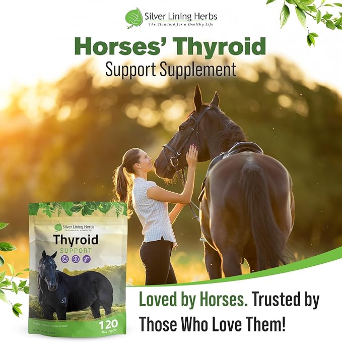 Silver Lining Herbs Thyroid Support for Horses – Herbal Horse Supplement for Normal Thyroid Function, Hormone Balance & Healthy Metabolism with Irish Moss, Kelp, Parsley – 120-Day Supply