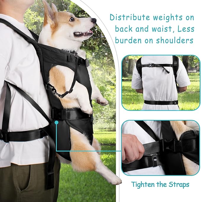 PetBonus Pet Front Dog Carrier Backpacks, Adjustable Pet Backpack, Legs Out Easy-fit Puppy Chest Carrier for Medium Small Dogs, Hands Free for Hiking, Cycling (Black, S)