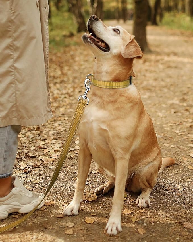 TagME Reflective Nylon Dog Collars, Adjustable Classic Collar with Quick Release Buckle for Extra Small Dogs, Khaki, 5/8" Width