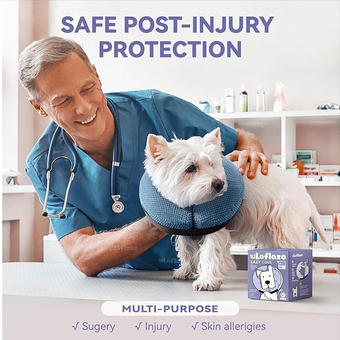 Inflatable Dog Cone Collar - Dog Neck Donut Cone Collar Alternative After Surgery - Soft Cone for Large Medium Small Dogs Cats - Alternative Recovery E Collar (Blue, M)