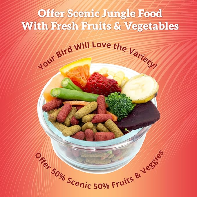 Scenic Corn Jungle Premium Parrot Food - Natural Flavors, High Protein, Low Iron Bird Pellets for Large Parrots, Macaw Food, Cockatoo, African Grey Parrots, Omega 3, Vitamins, Minerals, 2lb(Pack of 2)