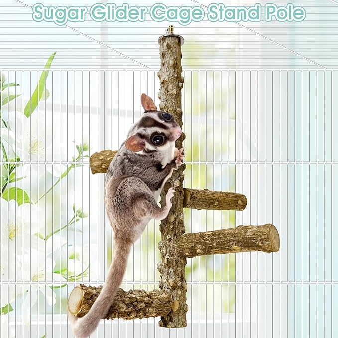 BNOSDM Sugar Glider Toy Natural Prickly Ash Wood Perch Stand Squirrel Hanging Wooden Climbing Pole Hamster Paw Grinding Perch Small Animal Cage Accessories for Chinchillas Rats Gerbil