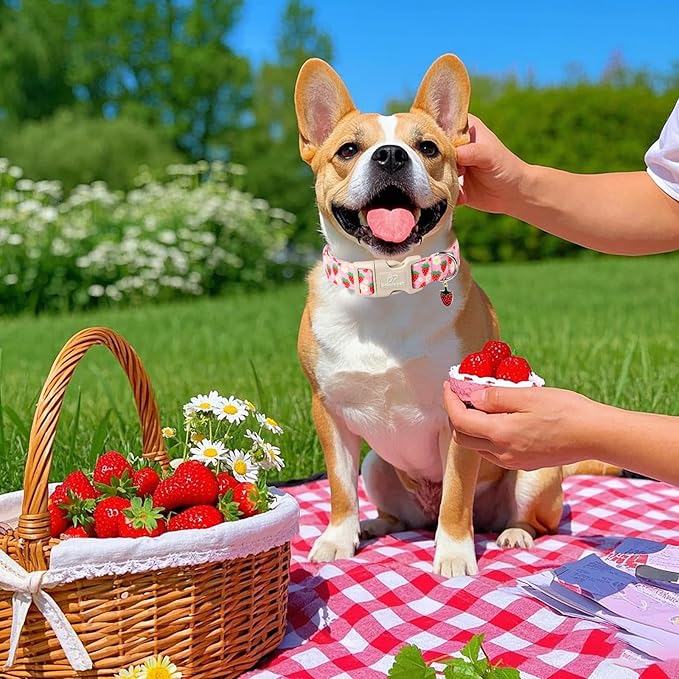 Cute Spring/Summer Dog Collar, Adjustable Pink Strawberry Dog Collars for Large Dogs, Lightweight Quick-Release Buckle Collar for Boy&Girl Dogs L