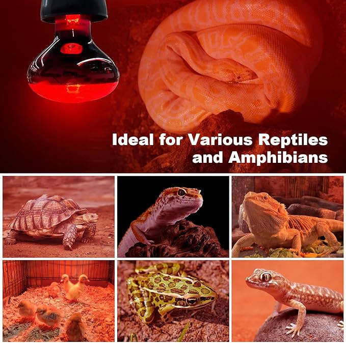2 Pack Infrared Heat Lamp, 100W Reptile Heat Emitter Infrared Basking Spot Light, Red Heat Lamp for Chickens Coop Reptile Pets Brooder Use