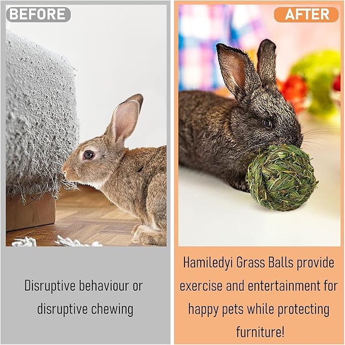 Hamiledyi 4 Pcs Rabbit Chew Ball Timothy Grass Ball Small Animal Activity Play Chew Toys Teeth Grinding for Bunny Rabbits Hamster Guinea Pigs Gerbils Chinchillas