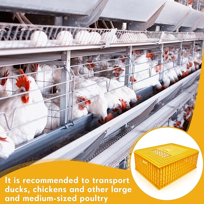 Sintuff 4 Pcs Poultry Carrier Crate Plastic Chicken Transport Cage Bird Carriers Chickens Carrier Travel Crate Basket Box for Poultry Chicken Bird Duck Goose, 29.5 x 21.7 x 11.6 Inch