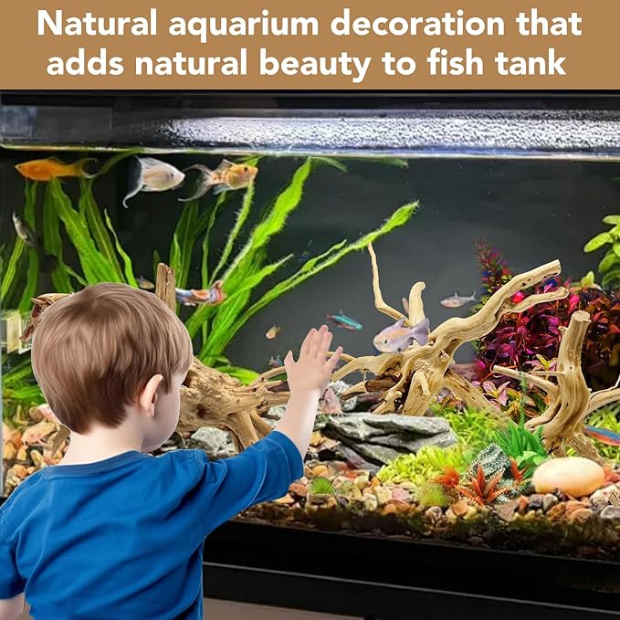 Jorewood Natural Large Spiderwood Driftwood for Aquarium Decor Rptile Fish Tank Decoration Assort Branch 7-11'' 3 Pcs