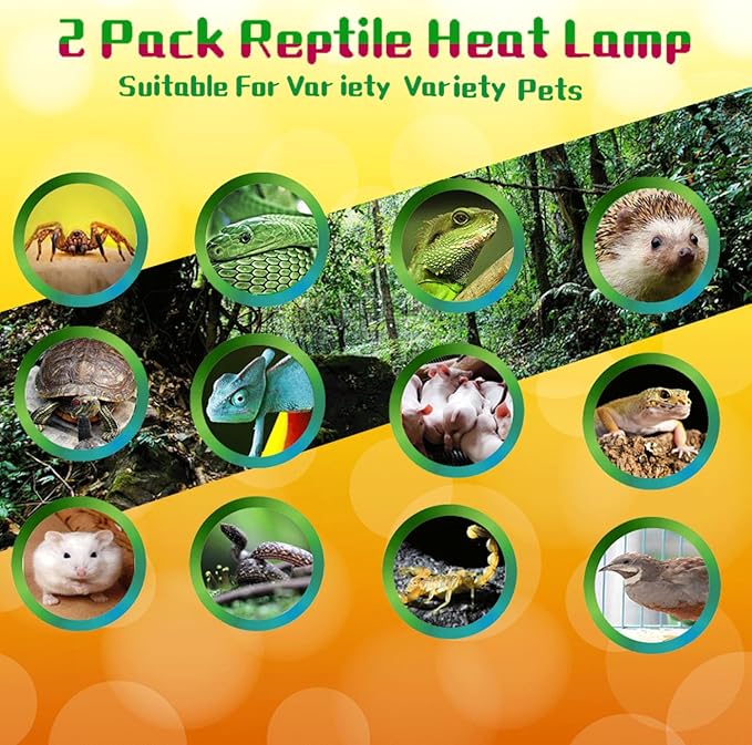 Reptile Heat Lamp Used in Reptiles 75W 100W Heat Lamp Bulbs for Reptiles 2 Pack Amphibians Basking Heat Lamp Bulbs UVA Daylight Basking Light (100Watts)