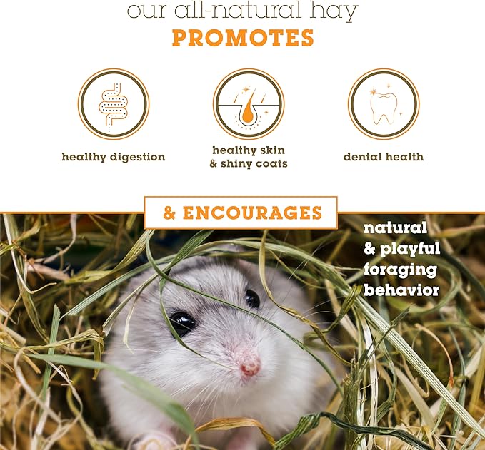 Bunny Honey Orchard Grass Hay for Guinea Pigs, Rabbits, Hamsters & Small Pets Fresh, High-Fiber, Supports Digestive Health & Dental Care, Non-Blended & Fresh Cut