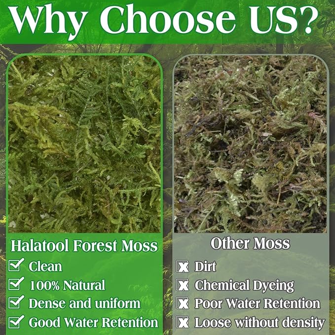 Halatool 6OZ Green Moss for Indoor Plants, 8QT Orchid Moss for Repotting, Forest Moss for Potted Plants, Real Moss for Succulent Carnivorous Houseplant Terrariums Garden Reptiles