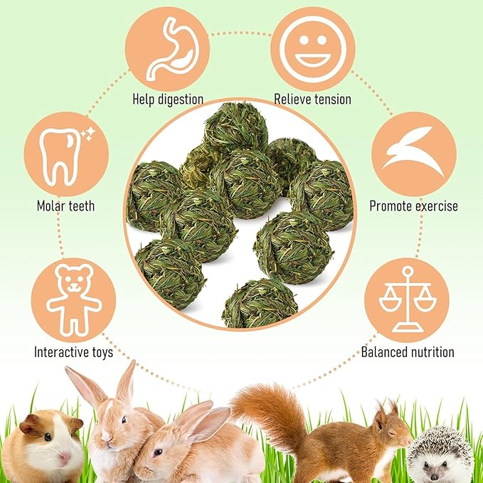 Hamiledyi 10 Pcs Rabbit Chew Ball Timothy Grass Ball Small Animal Activity Play Chew Toys Teeth Grinding for Bunny Rabbits Hamster Guinea Pigs Gerbils Chinchillas