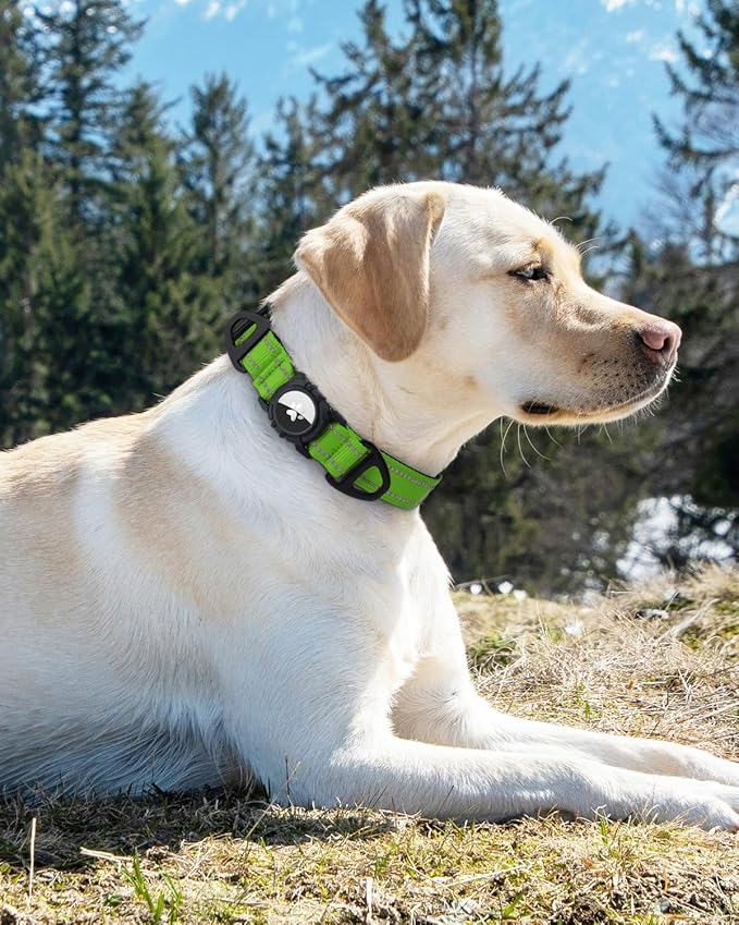 Joytale Airtag Dog Collar, Reflective Pet Collar with Waterproof AirTag Holder, Dual D-Rings, Soft Padded Adjustable for Small Dogs, Green, S