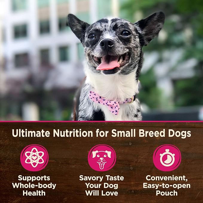 Wellness CORE Natural Grain Free Small Breed Mini Meals Wet Dog Food, Pate Chicken Entrée, 3-Ounce Pouch (Pack of 12)