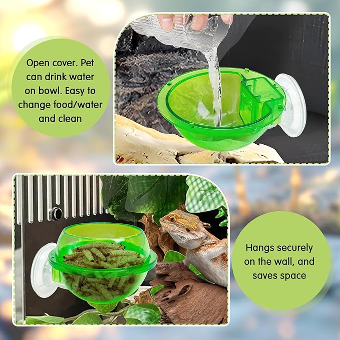 Tfwadmx Chameleon Bowl, Reptile Feeding Feeder,Worm Live Fodder Container, Water Dish Gecko Ledge Suction Cup Feeder Chameleon Supplies Accessories for Gecko Lizard Bearded Snakes Dragon 2 Pcs