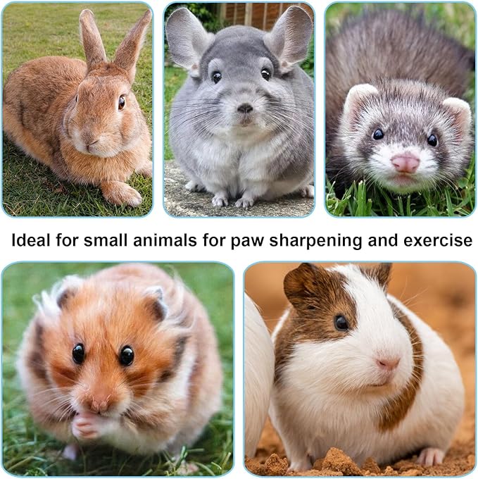 Hypeety Natural Wood Rabbit Scratch Board Bunny Scratching Pad for Rabbits Bunnies Durable Nail Trimming Teeth Grinding Indoor Play with Chew Toys