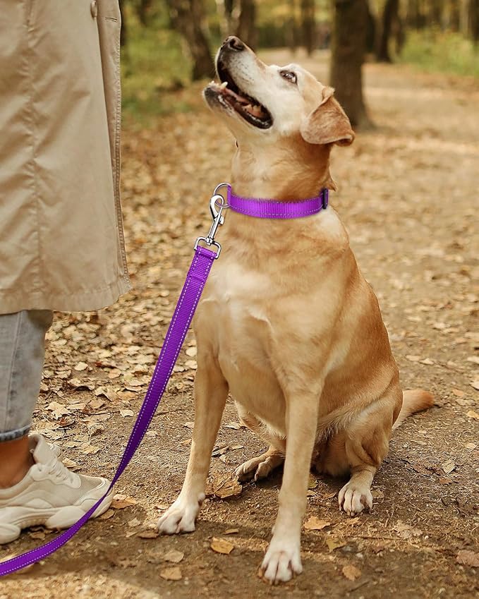 TagME Reflective Nylon Dog Collars, Adjustable Classic Pet Collar with Quick Release Buckle for Puppy, Purple, 3/8" Width