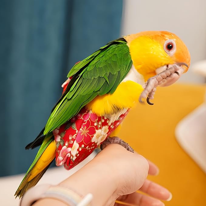2Pcs Bird Diapers Bird Harness Flight Suits with 80in Flying Leash Reusable Parrot Nappy with Waterproof Inner Layer Urine Wet Suite for Cockatiel Budgie Conure Parakeet Lovebird-Red&White