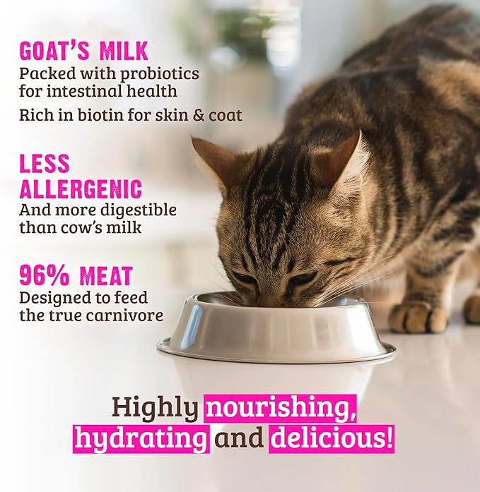 Rawz Natural Premium Pate Canned Cat Wet Food - Made with Real Meat Ingredients No BPA or Gums - 5.5oz Cans 24 Count (Turkey & Turkey Liver with Goats Milk)