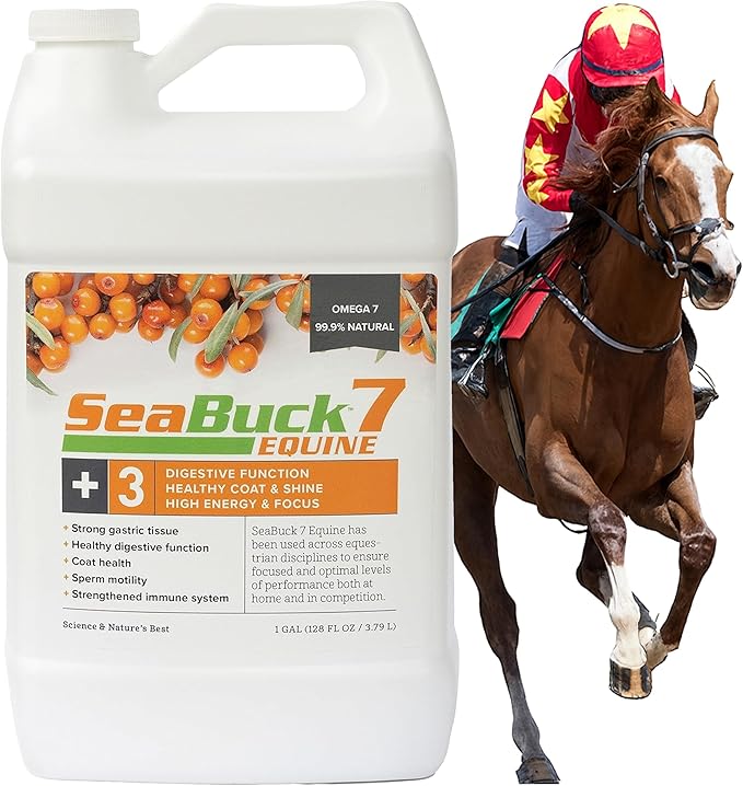 SeaBuck 7 Equine Supplement for Horses with Sea Buckthorn to Improve Horse Health (3-6 Week Supply, 1 Gallon) – Supports Healthy Eating & Digestion, Increased Energy/Focus, & Shiny Coats for Horses