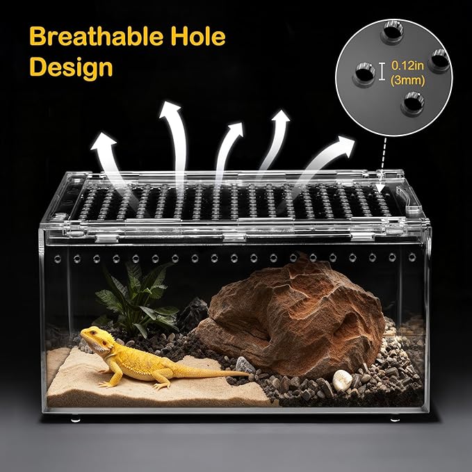 PC Small Reptile Terrarium Starter Kit,Magnetic Jumping Spider Enclosure,Hermit Crab Tank,Arboreal Tarantula Cage for Praying Mantis,Frog Vivarium,Lizard Container,Insect Housing,Gecko Habitat
