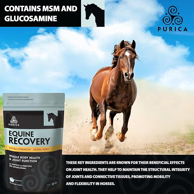 PURICA Equine Hyaluronic Acid - Horse Joint Support Supplement with Glucosamine, MSM Powder, Betaine, Magnesium, Vitamin C and E - Green Tea and Grape Seed Extract - Horse Supplies and Treats