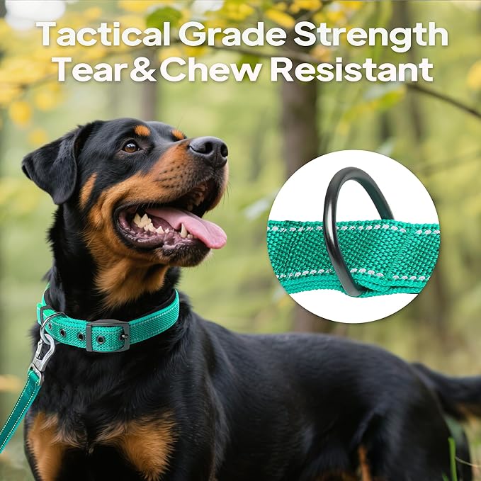 PetiFine Dog Collars for Small Dogs, Neoprene Padded Dog Collar, Reflective Heavy Duty Pet Collars with Durable Metal Belt Buckle for Walking, Teal, S