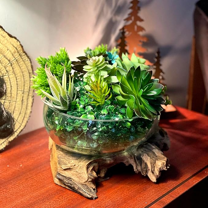 Molten Glass Bowl on Driftwood, 10 Inch Low Wide Hand Blown Decorative Bowl, Unique Natural Wood and Glass Sculpture, Table Centerpiece, Planter or Terrarium, Driftwood and Glass Bowl Decor for Home