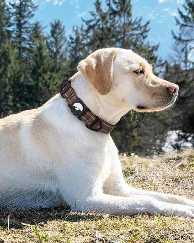 Joytale Airtag Dog Collar, Reflective Pet Collar with Waterproof AirTag Holder, Dual D-Rings, Soft Padded Adjustable for Medium Dogs, Brown, M