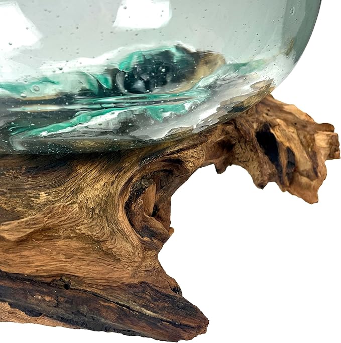Molten Glass Bowl on Driftwood, 10 Inch Low Wide Hand Blown Decorative Bowl, Unique Natural Wood and Glass Sculpture, Table Centerpiece, Planter or Terrarium, Driftwood and Glass Bowl Decor for Home
