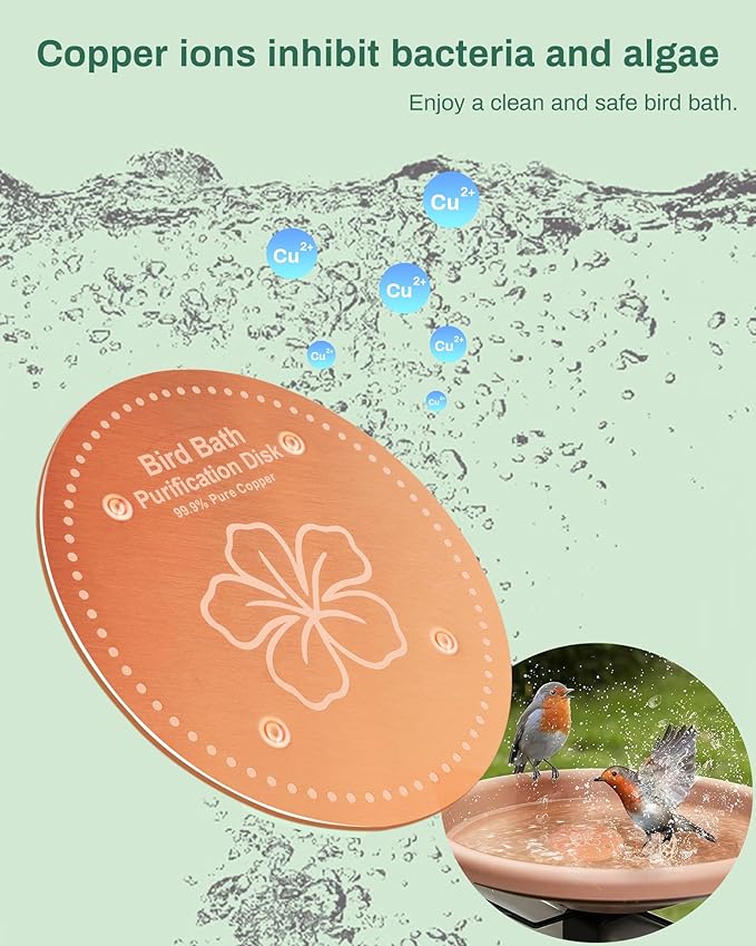 Bird Bath Purification Disk Pure Copper Outside Winter Solar Power Birdbath Wild Hummingbird Pedestal Fountain Cleaner Humming Feeder Cage Dispenser Heater Ground Safe Garden Lover Women Gift