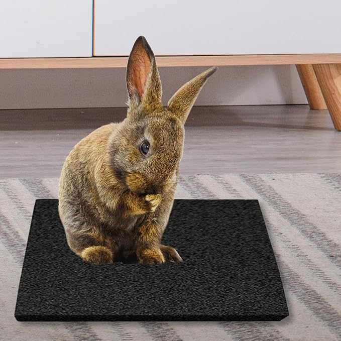 Hamiledyi Rabbit Scratch Foot Pads - 4 Pcs Small Animal Lava Grinding Teeth Stone for Bunny, Hamster, Guinea Pig, Rat, Gerbil, Chinchilla & Hedgehog