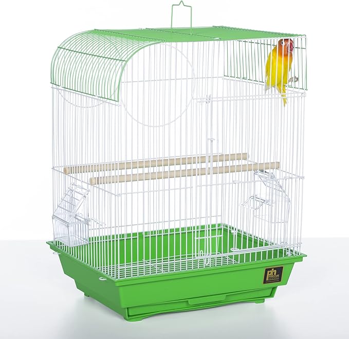 Prevue Pet Products South Beach Flat Top Bird Cage, Lime Green (SP50091),14 1/8" L x 11 1/4" W x 18 1/8" H