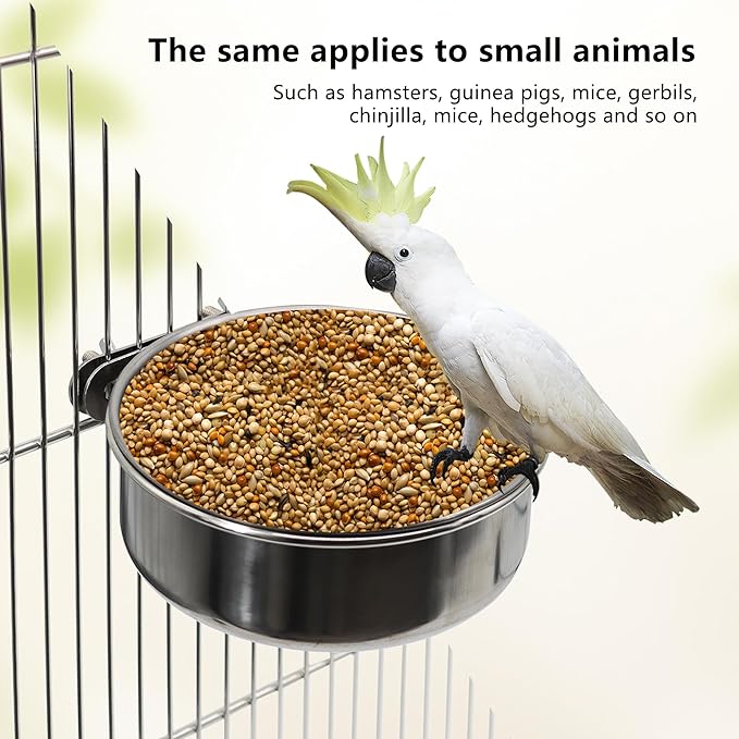 2 Pcs Small Bird Feeding Dish Cups,Parrot Food Bowl Cage with Clamp Holder Stainless Steel,Birdcage Coop Water Feeder for Cockatiel Parakeet Macaw Finches Lovebirds Small Animals (2 Pack, Small)
