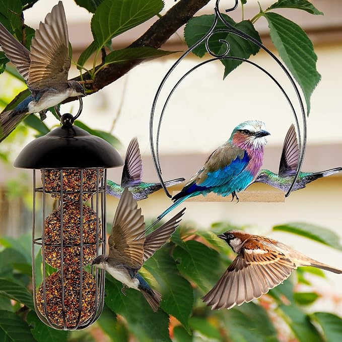 winemana Set of 3 Hummingbird Swings, Rust Resistant Metal Frame, Wooden Dowel, Attach to Bird Feeders, Perfect for Hanging Indoor Office Outdoor Trunk Lawn Patio Garden (7.4" x 5.5")