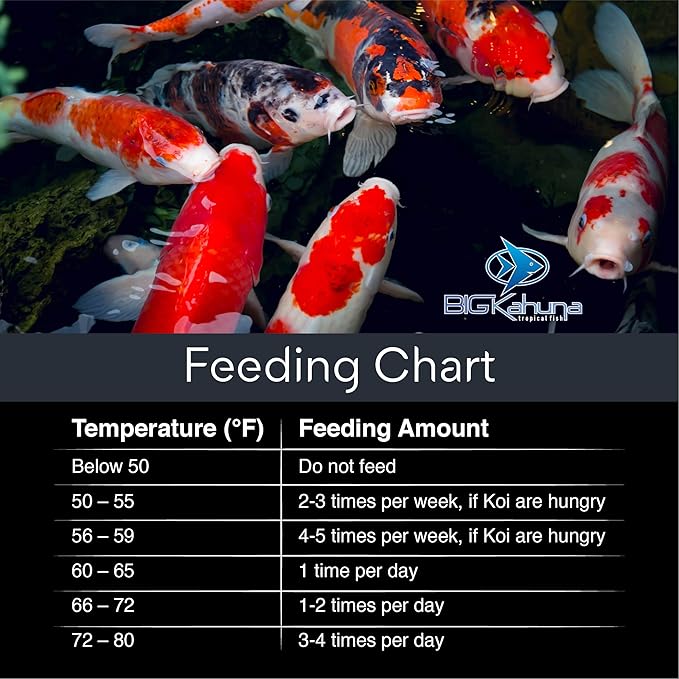 Big Kahuna Koi Fish Food for Ponds 20lbs - Koi Food for Pond Fish Food Pellets – 3/16-1/4 Floating Pond Pellet