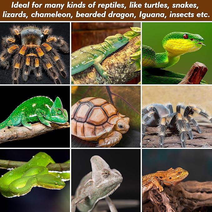 ZeeDix 10 Pcs Reptile Mat, 8X8 inch Natural Coconut Fiber Liner Mat Flooring Accessories for Reptile Tank - Bearded Dragon Tortoise Lizard Turtle Snake Leopard Gecko Substrate Bedding