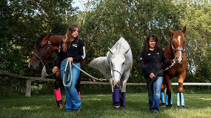 Warrior Fly Boots for Horses - Breathable Mesh Horse Boots for Fly Protection & Leg Comfort - Set of 4 (Knight Warrior, Gray)