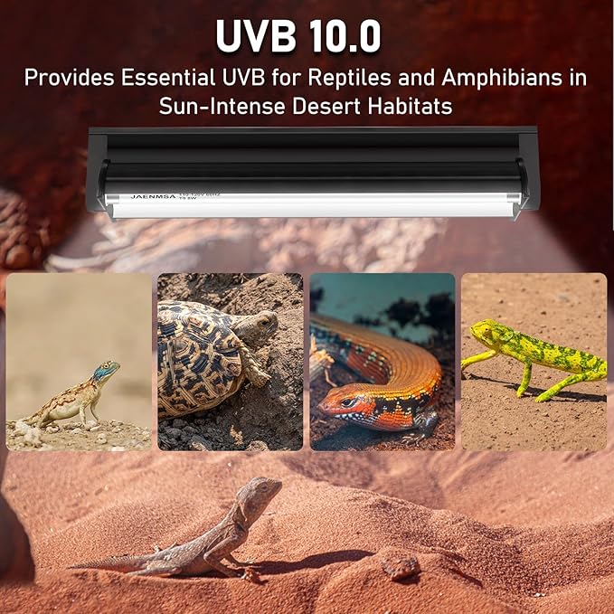 T5 10.0 UVB Light Fixture for Reptiles, 8W UVA UVB HO Reptiles Light Bulbs for Bearded Dragon, Leopard Gecko, Tortoise, Desert Lizards,Reptile & Amphibian Lamp, T5 Tube Uvb Bulb 12 Inch