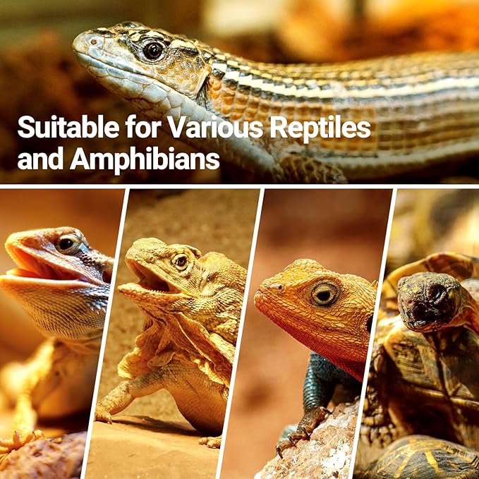 REPTI ZOO 50W Reptile Heat Lamp Bulb,2 Pack Intense Spot Basking Light,UVA Daylight Heating Lamp Bulb for Reptile & Amphibians & Chicken Brooder,Bearded Dragon, Lizard, Tortoise