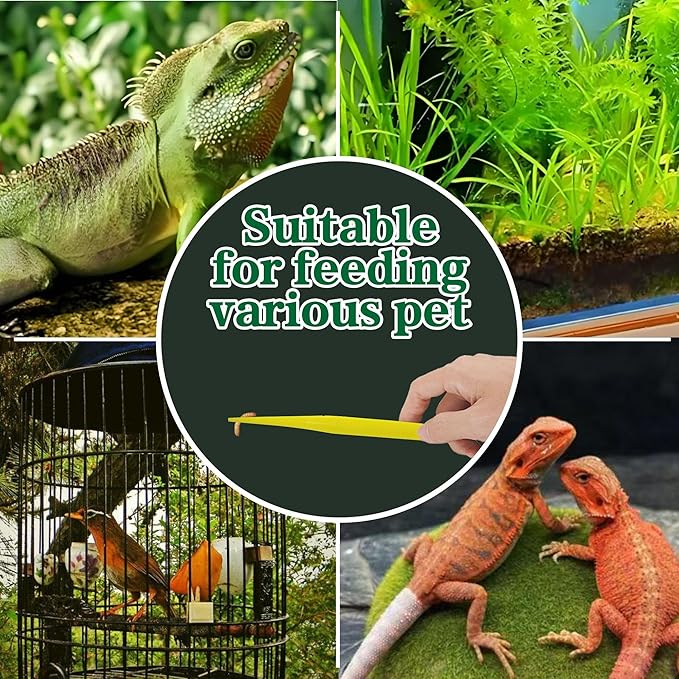 4-Pack Reptile Feeding Tongs Set - Hygienic Anti-Slip Yellow Tweezers for Bearded Dragons, Lizards, Snakes, Aquariums & Small Animals