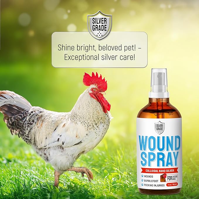 SILVER GRADE Wound Spray for Chicken from Birds & Chicken Antibiotics Alternative to Help with Pecking Sores, Bumblefoot, Cuts – Poultry Spray with Silver – GMOs Free – 4-Oz Bottle