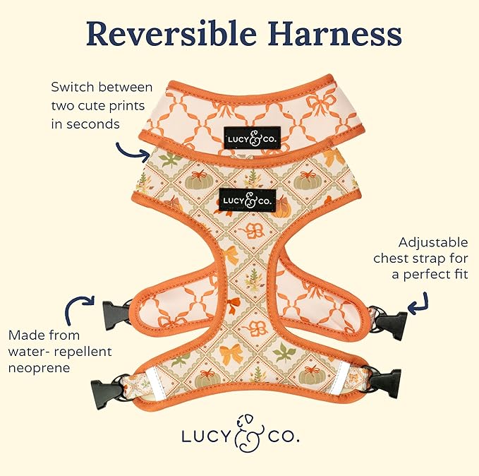 Lucy & Co. Cute Reversible Dog Harness Walking Halter - Best Designer Pet Harnesses for XS - XL Dogs - Padded Adjustable Vest for Easy Walking-Large-Orange Cream Pumpkin
