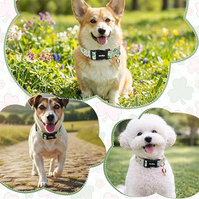St. Patrick's Day Dog Collar,Puppy Collar with Lucky Shamrock Chequered Pattern,Adjustable Spring Cotton Collars Gifts for Small Medium Large Dogs,Dog Accessories XS