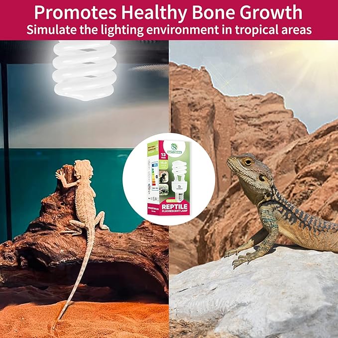 UVB Reptile Light 15.0, 13W Intense UVA UVB Bulb for Reptiles, Terrarium Compact Fluorescent Lamp, Reptile UVB Light Bulb for Desert Reptiles & Amphibians