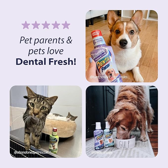 Dental Fresh Advanced Plaque and Tartar Water Additive, 8oz – Dog Teeth Cleaning Formula to Freshen Breath and Improve Overall Oral Health